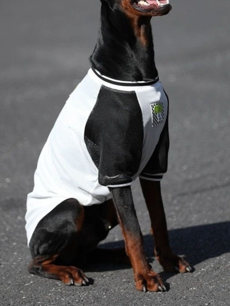 Large Dog Breathable Mesh T-Shirt