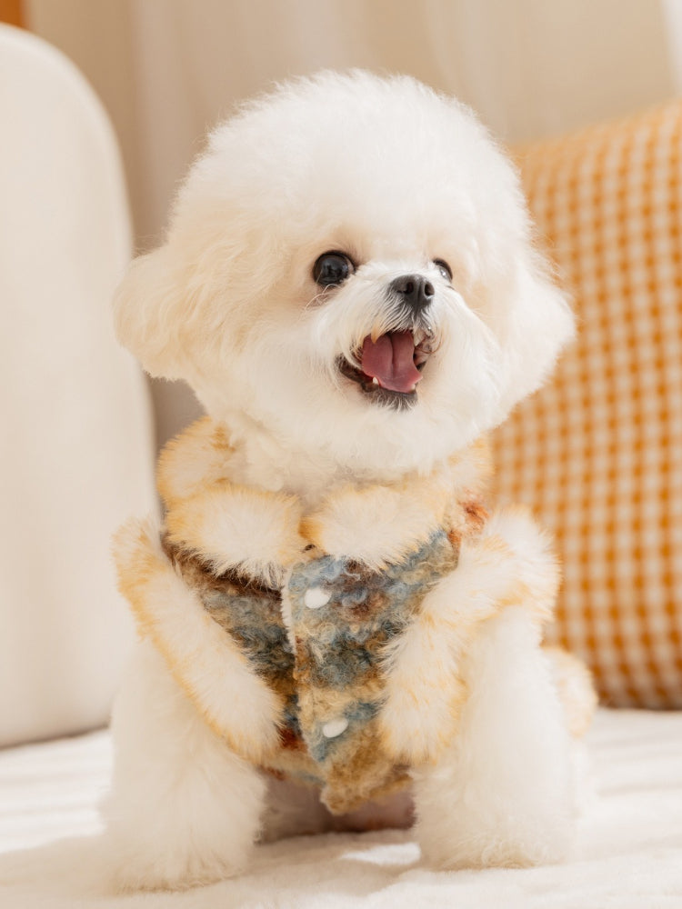 White dog wearing a Fair Isle dog vest with faux fur trim