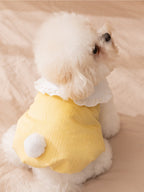 Rear view of a small white fluffy dog wearing a yellow pet vest