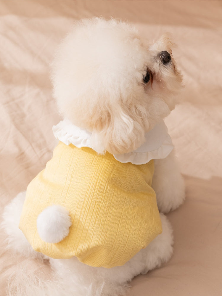 Rear view of a small white fluffy dog wearing a yellow pet vest