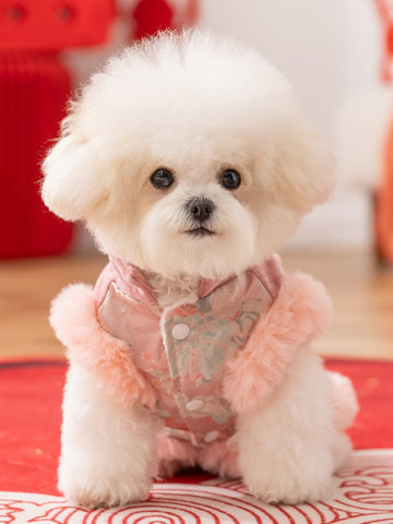 Small white dog wearing a pink dog coat with floral embroidery and faux fur trim