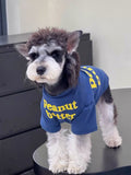 Close-up of a dog dressed in a blue t-shirt with a graphic print.