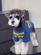 Close-up of a dog dressed in a blue t-shirt with a graphic print.