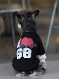 Rear view of a mini schnauzer dog in a black pullover with a graphic print on the back.