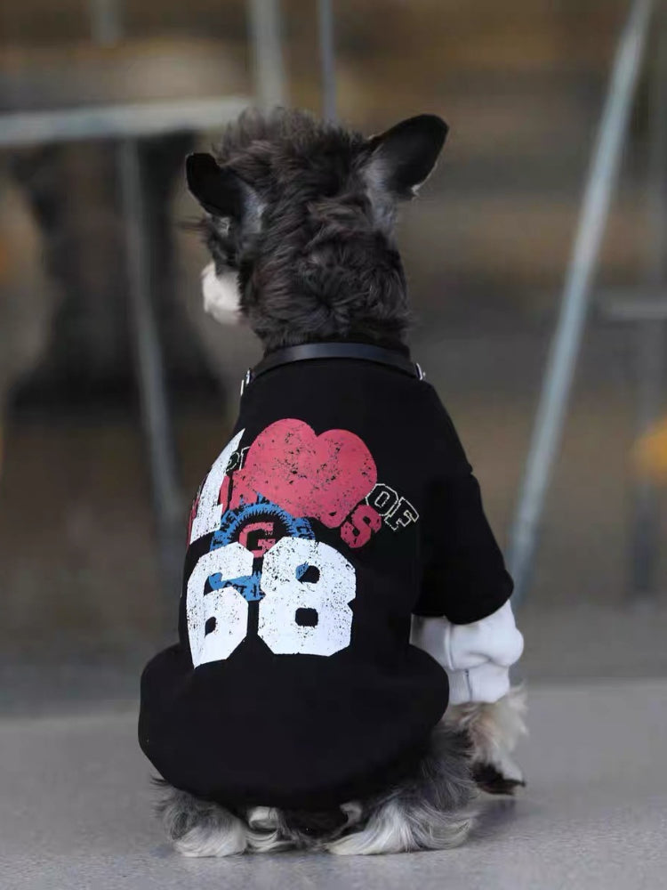 Rear view of a mini schnauzer dog in a black pullover with a graphic print on the back.