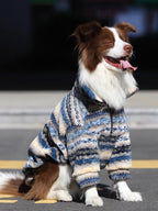 A border collie dog wearing a blue, yellow, and grey striped hooded fleece coat, sitting outdoors.