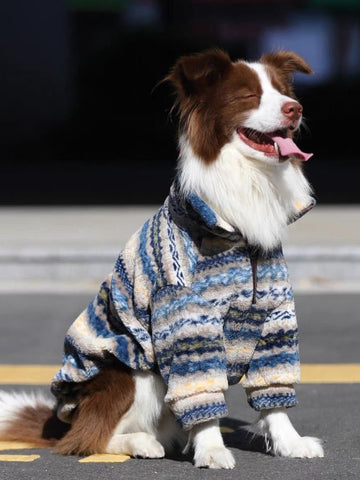 A border collie dog wearing a blue, yellow, and grey striped hooded fleece coat, sitting outdoors.