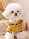 Yellow knitted pet sweater with ruffled collar and brown trim on a white dog.