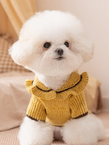 Yellow knitted pet sweater with ruffled collar and brown trim on a white dog.