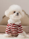 White dog wearing a red and white striped fleece sweater with a white collar.