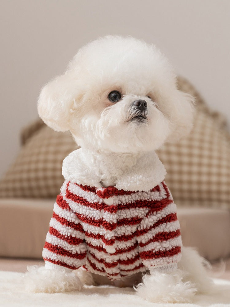 White dog wearing a red and white striped fleece sweater with a white collar.