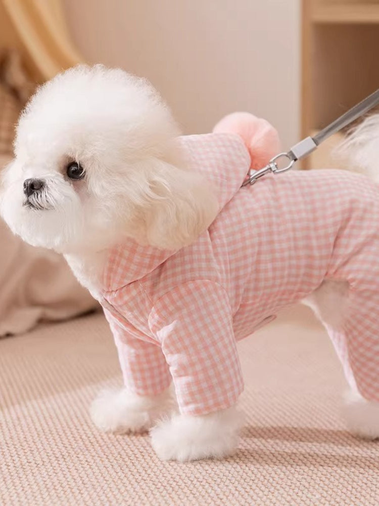 A Bichon Frise dog walking outdoors wearing a pink gingham hooded dog suit with a pink pom-pom accent and a leash.