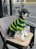 Side view of a miniature schnauzer wearing a green and dark green striped dog t-shirt.