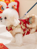 Side view of a white dog in a festive pet vest with a leash attached.