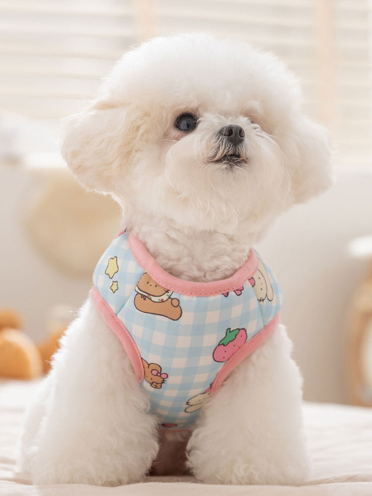 Light blue gingham dog vest with teddy bear and strawberry print, worn by a white bichon frise.