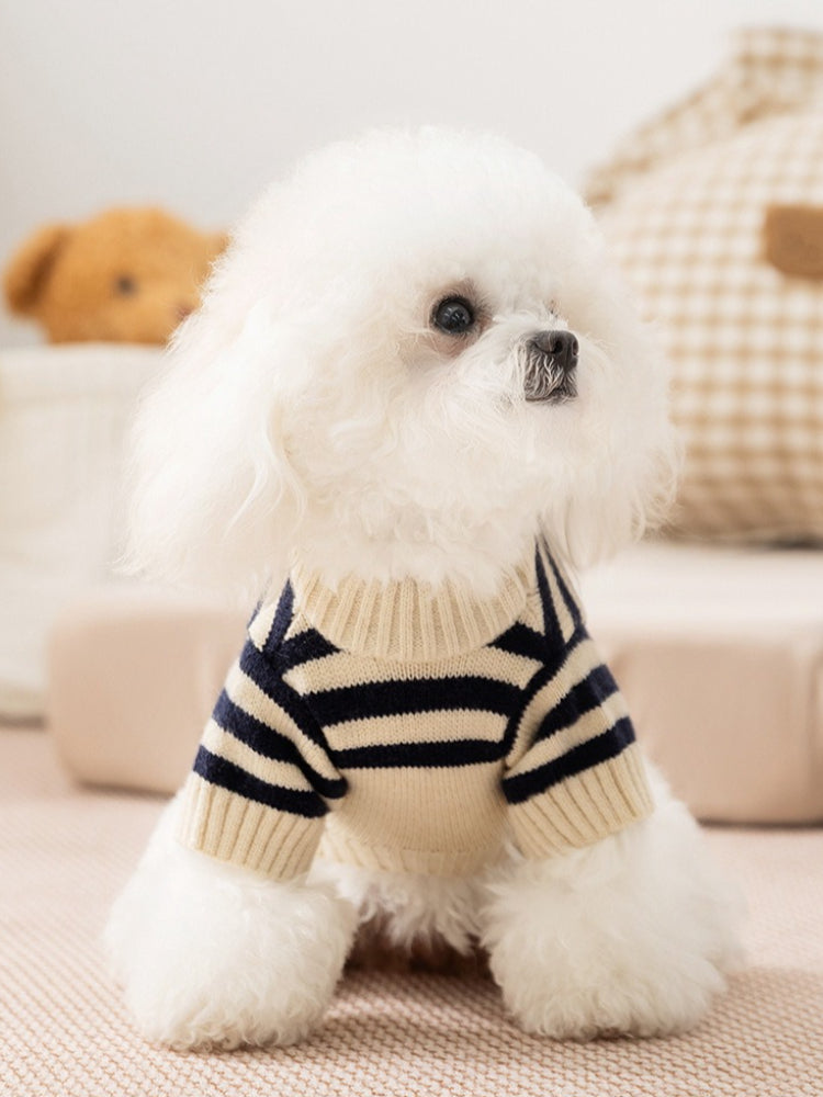 A small white dog wearing a cream and navy blue striped knit sweater with a crew neck and short sleeves.