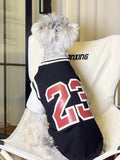 Back view of a small dog in a Bulls 23 jersey