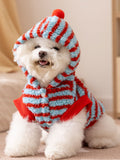 Dog wearing a blue and red striped hooded dog coat with a pom-pom on the hood.