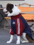 Side view of a brown and white Border Collie wearing a red and navy blue dog jacket with white stripes on the sleeves and a white embroidered logo patch.