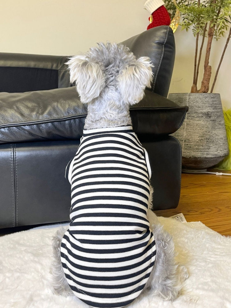Small dog wearing a black and white striped tank top with a heart accent.