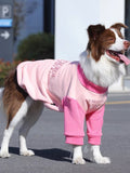 A border collie dog wearing a pink and light pink dog sweatshirt with graphic print on the chest, standing outdoors.