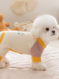 Side view of a Bichon Frise dog standing in a colorblock knit sweater