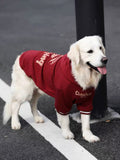 Golden Retriever wearing a red fleece dog hoodie with 'Christmas' on the chest