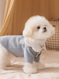 Full body shot of a white dog wearing a light blue knit pet sweater with a white Peter Pan collar