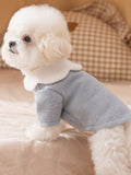 Side view of a white dog wearing a light blue knit pet sweater with a white Peter Pan collar