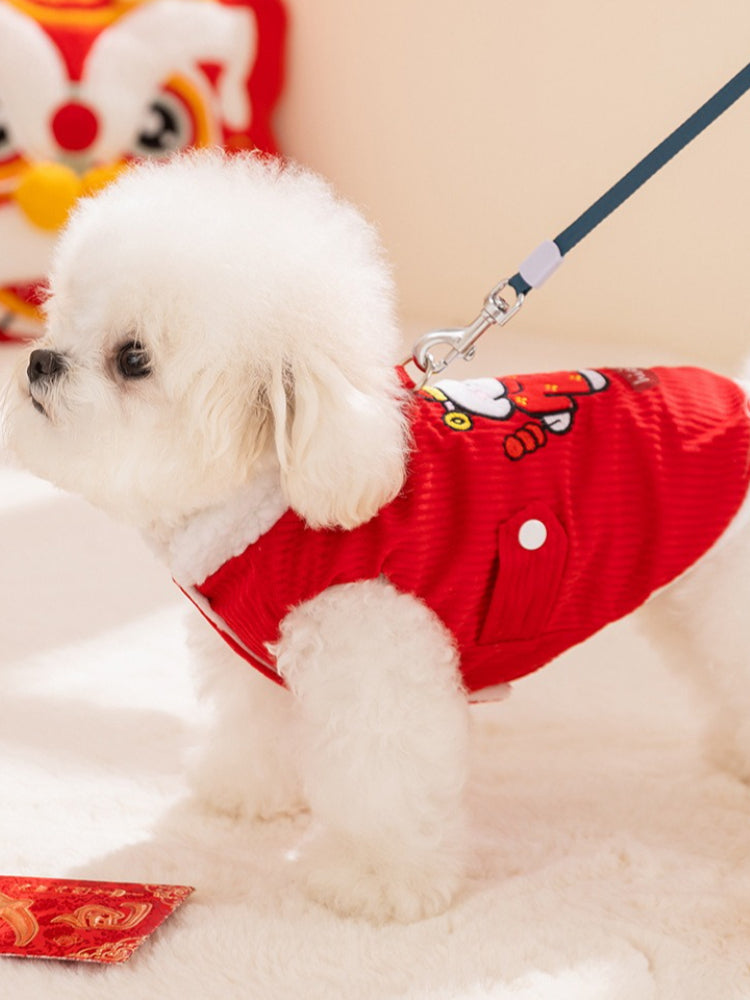 Side view of a white Bichon Frise dog wearing a red corduroy pet vest with white sherpa lining and white buttons, attached to a leash.