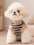 Small white dog wearing a blue and brown striped fleece vest