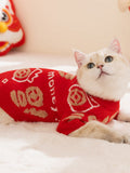 Side profile of a cat wearing a red lucky fortune sweater indoors