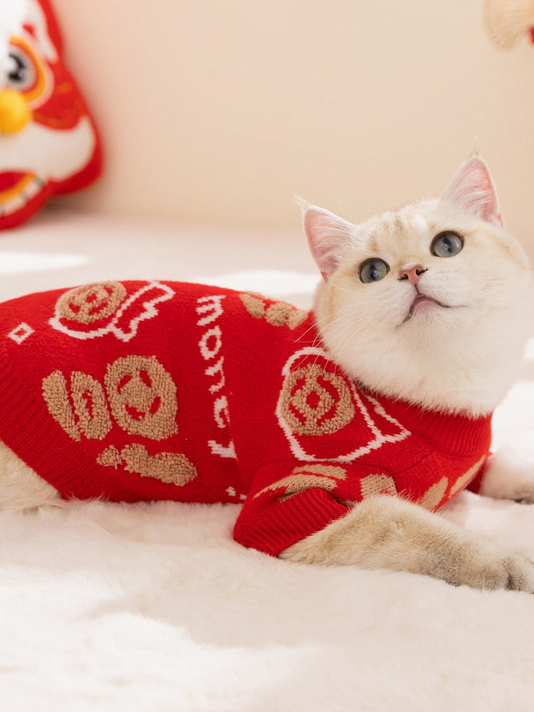 Side profile of a cat wearing a red lucky fortune sweater indoors