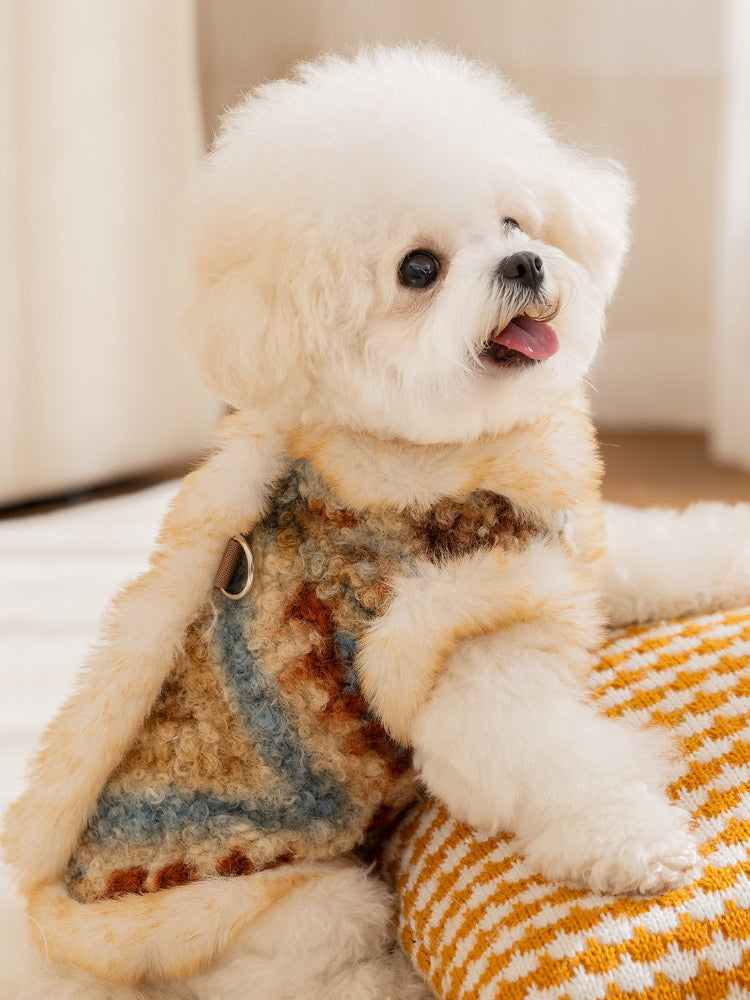 Side profile of a dog in a patterned pet vest
