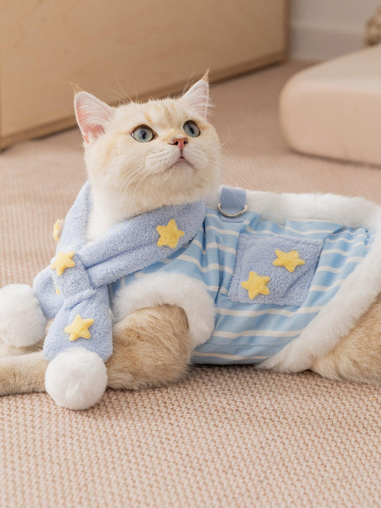 A cat wearing a blue and white striped pet vest with yellow star details and a scarf.