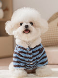 White dog wearing a blue and brown striped fleece sweater with a white collar.