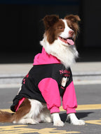Brown and white Border Collie dog wearing a black and pink hooded dog sweatshirt with 'Nohese Archive' and dog graphics on the back, sitting outdoors.