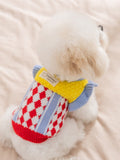 Back view of a small white dog wearing a yellow and blue knit sweater with argyle pattern