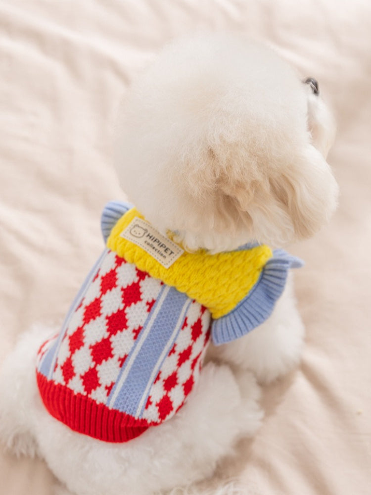 Back view of a small white dog wearing a yellow and blue knit sweater with argyle pattern