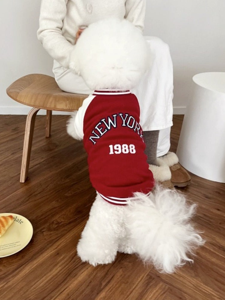 Rear view of a white Bichon Frise dog in a red and white "New York 1988" jacket.