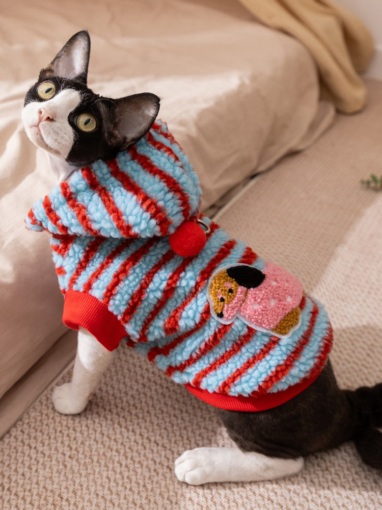Sphynx cat wearing a blue and red striped sherpa fleece hoodie with a hood up.