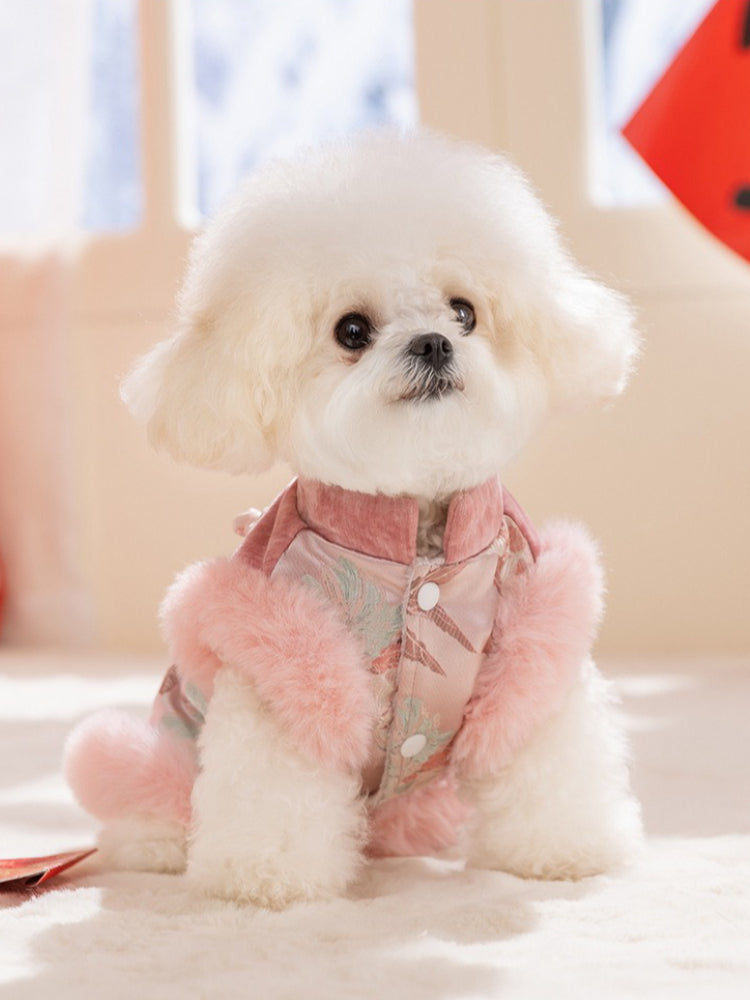 White dog wearing a pink and white traditional Chinese style dog jacket with floral embroidery and pink faux fur trim.