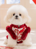 White dog wearing a red and white traditional Chinese style dog jacket with floral and dragon embroidery and red faux fur trim.