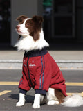 Side view of a dog in a red fleece jacket