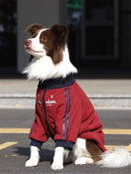 Side view of a dog in a red fleece jacket