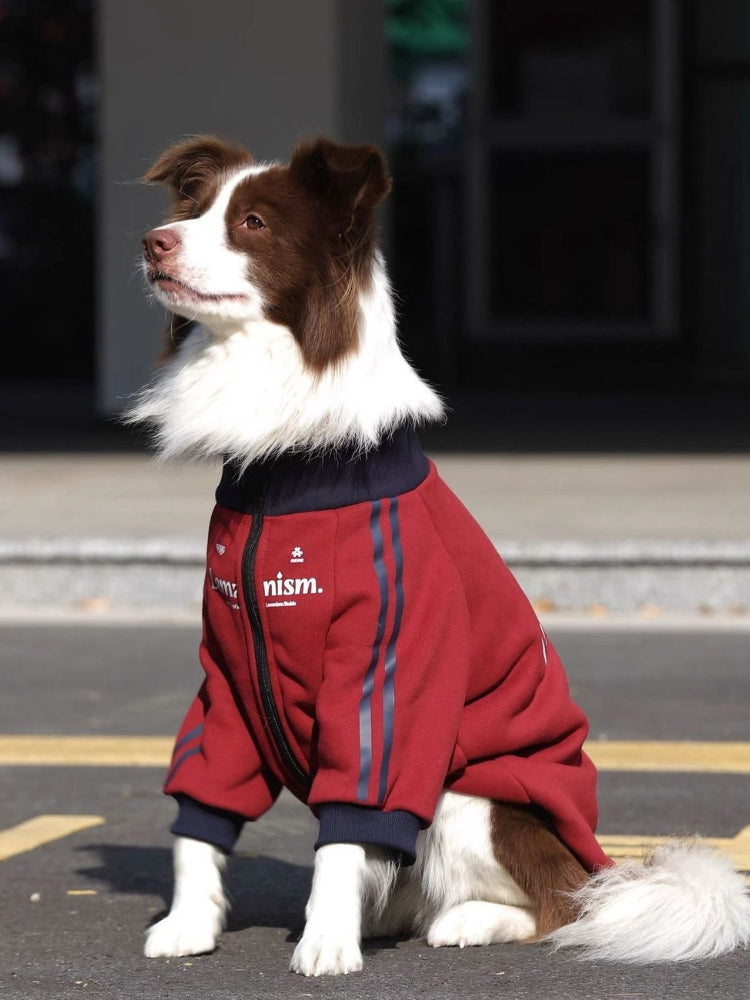 Side view of a dog in a red fleece jacket