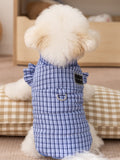 Rear view of a small white dog wearing a blue plaid dog vest with a D-ring