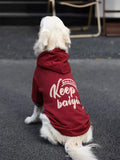 Rear view of a Golden Retriever in a red fleece dog hoodie with text on the back