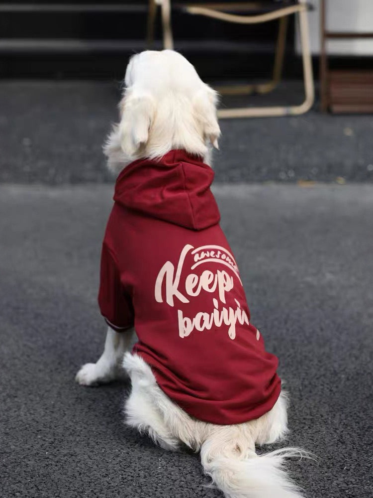 Rear view of a Golden Retriever in a red fleece dog hoodie with text on the back