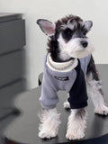 Miniature schnauzer facing left, wearing a grey and black dog onesie with a faux chain collar.